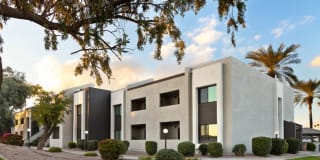 Merino Gallery 6