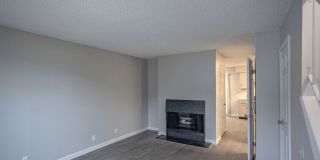 Willow Apartments Gallery 27