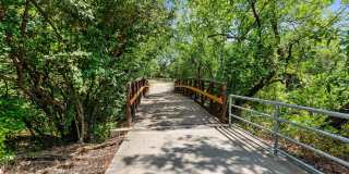 Collin Creek Gallery 8