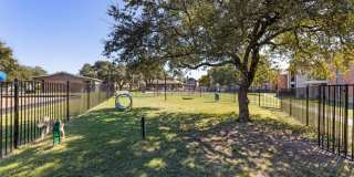 Regal Crossing Apartments Gallery 7