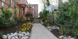 Eola Park Gallery 6