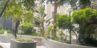 San Lucas Apartments Gallery 2