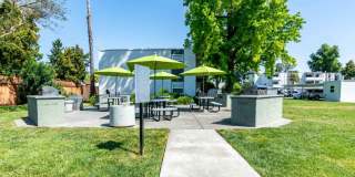 The Grove Gallery 15