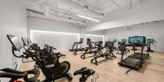 1000M Gallery 51