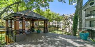 Thornbury at Chase Oaks Gallery 25