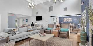 The Pines Gallery 22
