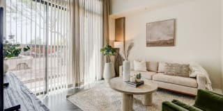 Adara Gallery 7