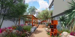 Ironwood Gallery 24