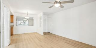 The Viridian Gallery 7
