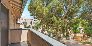 Olive View Gardens Gallery 10