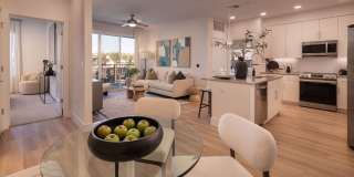 Town Chandler Gallery 28