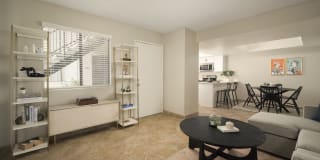 Merino Gallery 15