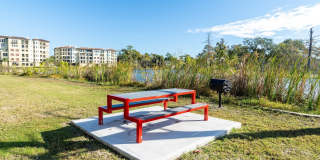 Mandarin Bay Gallery 19