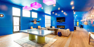 The Goat Farm Gallery 28