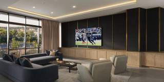 Olive Gallery 11