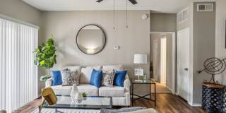 Collin Creek Gallery 23