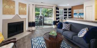 Canopy at Baybrook Gallery 17
