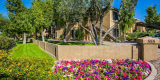 Towne Square Apartment Homes Gallery 21
