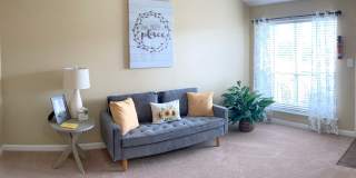 Adobe Springs Gallery 6