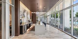 LVL 29 Gallery 44