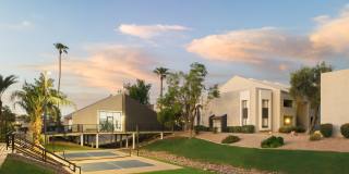 Merino Gallery 34