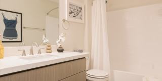 Adobe Ridge Gallery 15