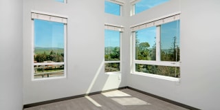 The Lex Gallery 25