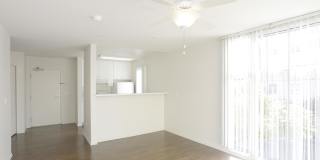 900 F Street Gallery 17
