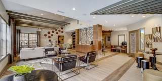 Arden Westchase Gallery 22