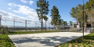 AVA Toluca Hills Gallery 38