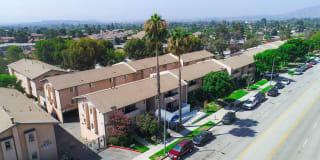 Olive View Gardens Gallery 17