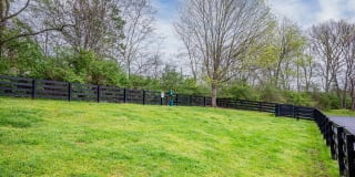 Dupont Avenue Apartments Gallery 15