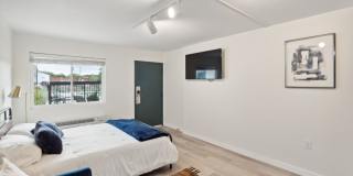 Hermitage Studios Gallery 8