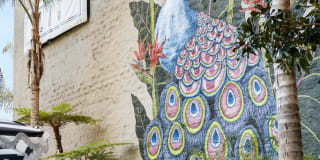 Vera Cortez Hill Gallery 4