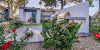 Riviera Park Gallery 10