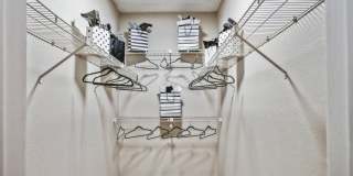 Collin Creek Gallery 27