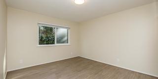 Vue at Piedmont Gallery 37