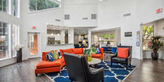 Collin Creek Gallery 17