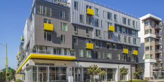 mResidences Olympic & Olive Gallery 7