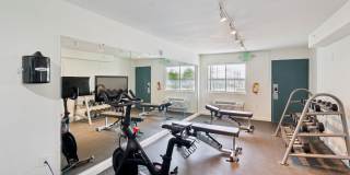 Hermitage Studios Gallery 26