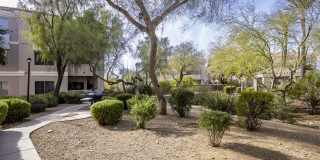 Vintage At Scottsdale Gallery 30