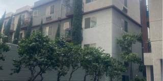San Lucas Apartments Gallery 4