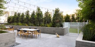 AMLI Fountain Place Gallery 22