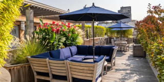 The Sierra Chelsea Gallery 25