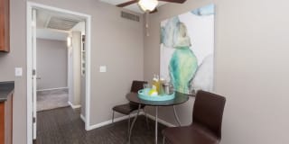 Olive Tree Gallery 9