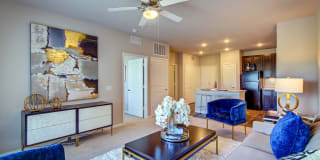 Newman Village Gallery 32