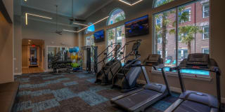 Newman Village Gallery 37
