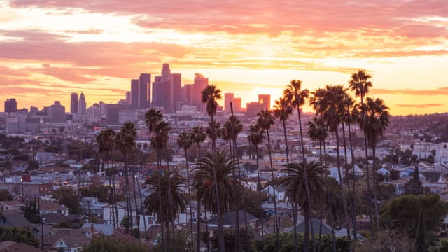  Beautiful sunset through the palm trees, Los Angeles, California.