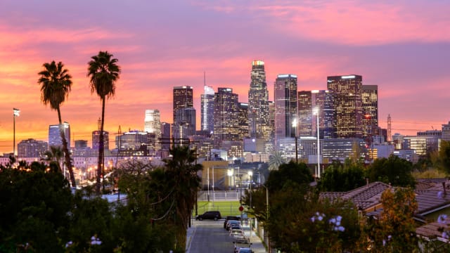 Los Angeles Skyline Sunset