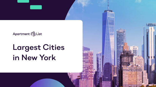 largest cities new york nyc
